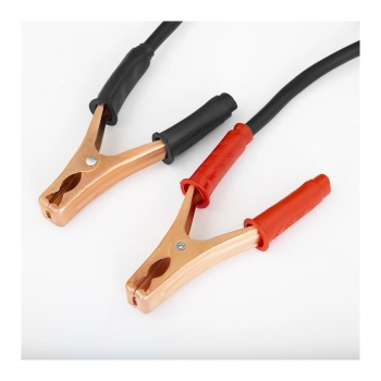 Prostownik rozruchowy do akumulatorów samochodowych Timer 12/24V 100A rozruch 480A