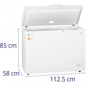 Zamrażarka skrzyniowa zamykana na klucz 1 kosz 252 l -12 do -28 C 85 W