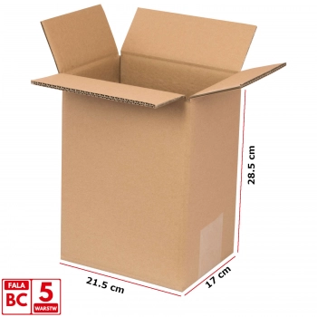 Pudełko kartonowe FEFCO 0201 5-warstwowy 215x170x285mm 1 x UN 5L 10szt